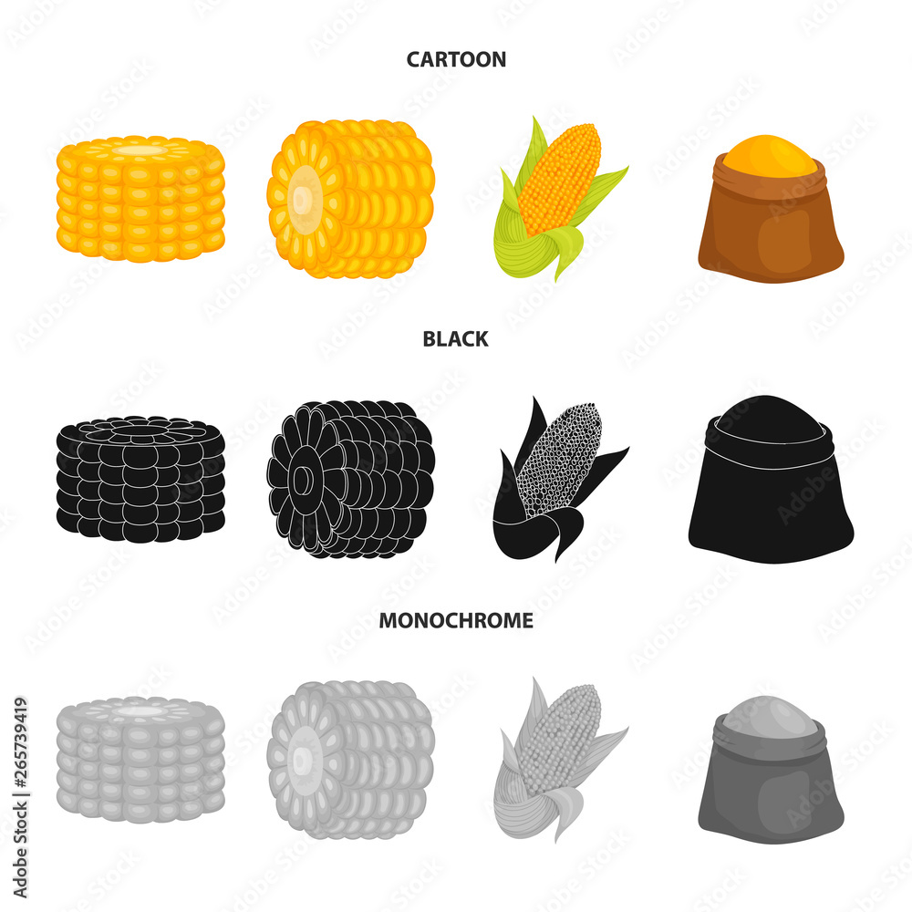 Isolated object of cornfield and vegetable icon. Set of cornfield and vegetarian stock symbol for web. Isolated object of cornfield and vegetable icon. Set of cornfield and vegetarian stock symbol for web.