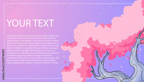 Vector template of banners or brochure, flyers with illustration of sakura trees on pastels colors background with white frame