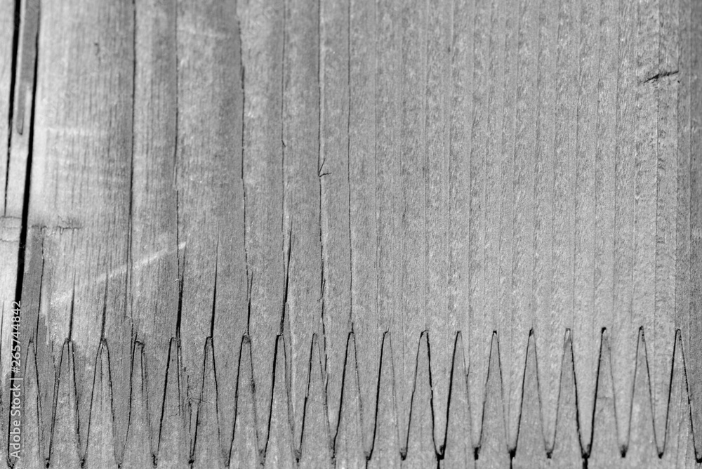 Fototapeta premium Texture of a wooden surface close up. Wooden background black and white
