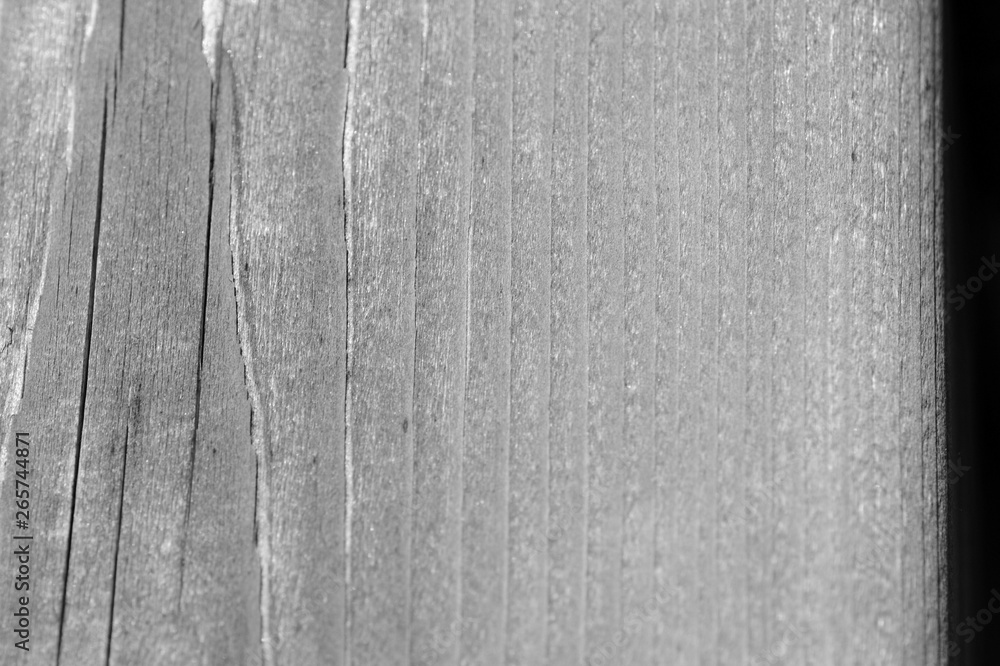 Fototapeta premium Texture of a wooden surface close up. Wooden background black and white