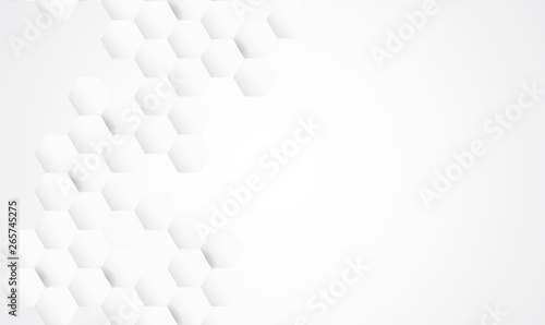 Abstract technology white and gray color modern background design, White geometric texture. Vector Illustration
