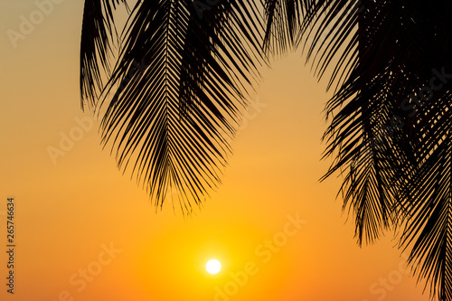 coconut tree at tropical coast made with Vintage Tones Warm tones