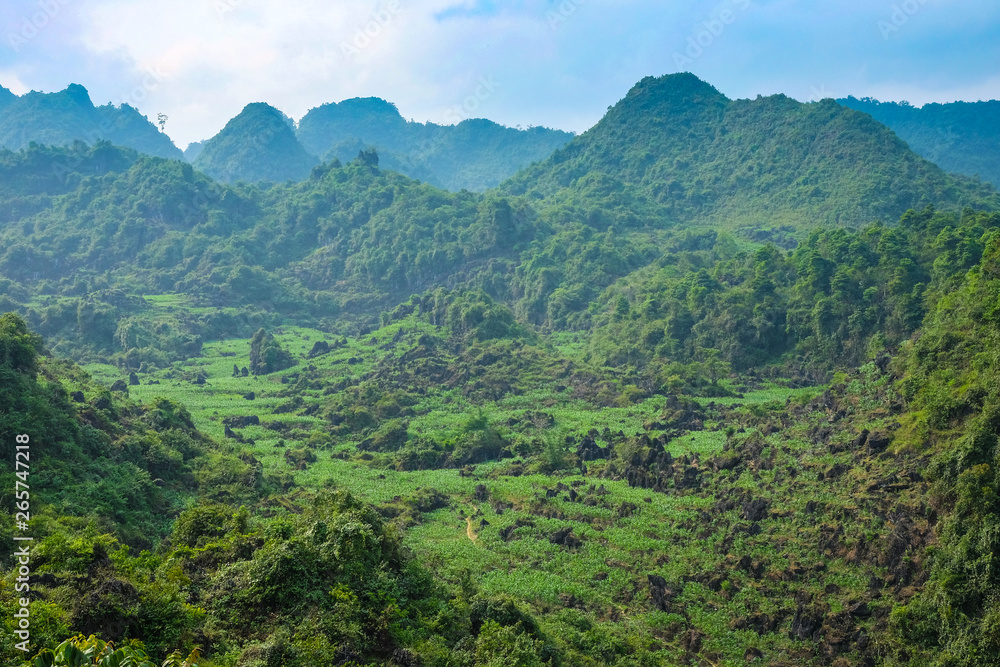 Ha Giang district landscape green hills northern Vietnam Ha Giang district landscape green hills northern Vietnam