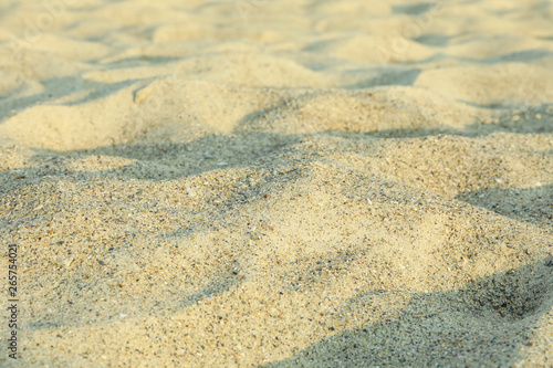 Sea sand as background, space for text. Summer backdrop