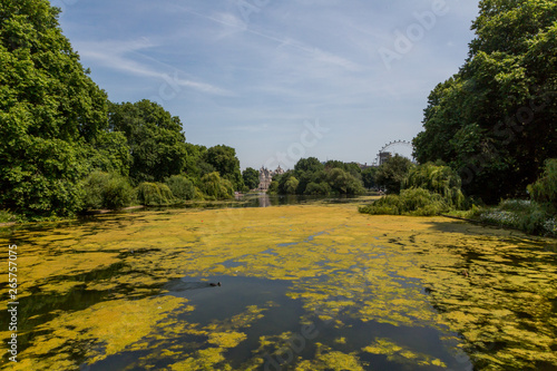 Beau lac à Londres près du palace 