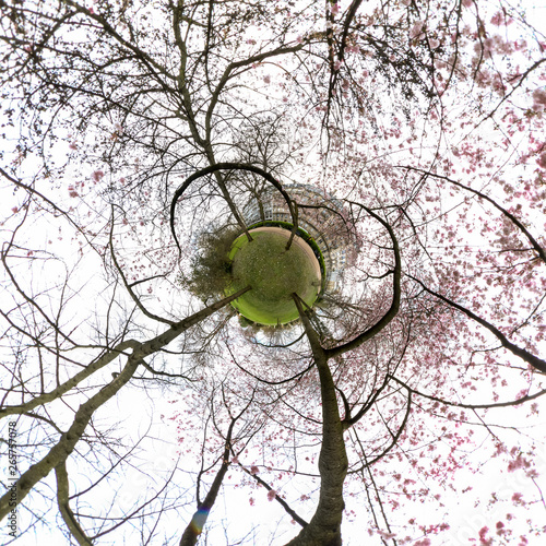 Printemps little planet à Paris 