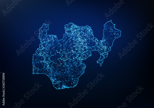Abstract of nigeria map network, internet and global connection concept, Wire Frame 3D mesh polygonal network line, design sphere, dot and structure. Vector illustration eps 10.