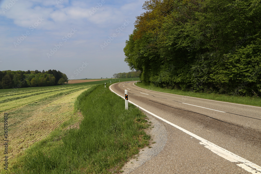 Fototapeta premium Spring landscape with asphalt road in the foreground