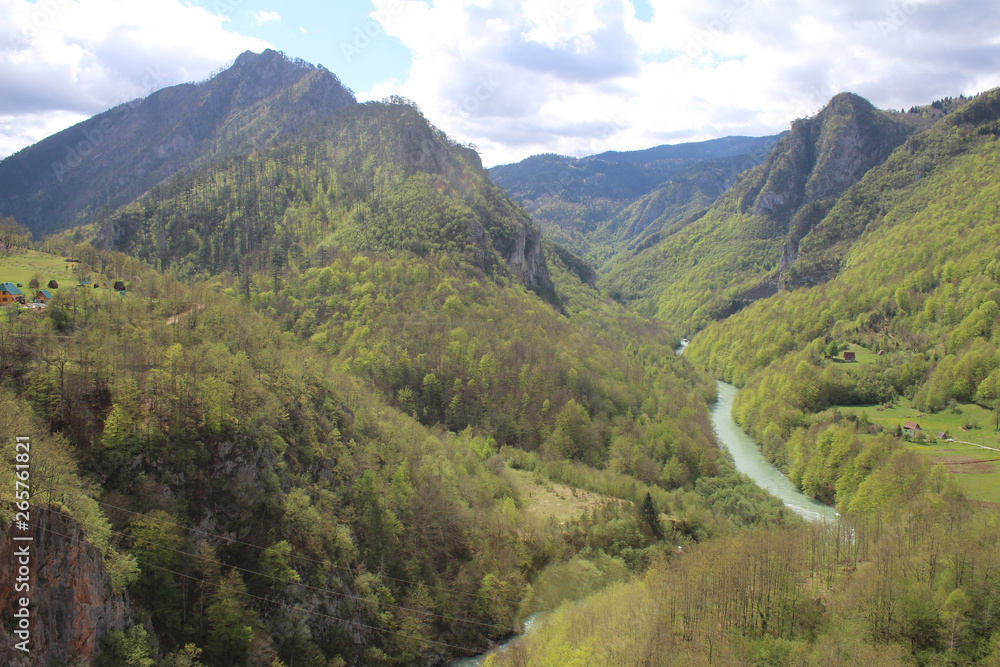 Fototapeta premium View on Tara river from the Đurđevića Tara Bridge, one of the most beautiful bridges in the world. This is a concrete arch bridge over the Tara River in northern Montenegro