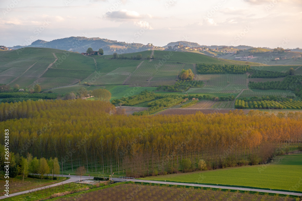 Elevated, panoramic view of the vineyard hills of the Langhe region in Piedmont, become Unesco World Heritage Site since 2014, with a cloudy blue sky in springtime, Italy 