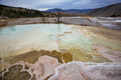 Mammoth Hot Spring photo