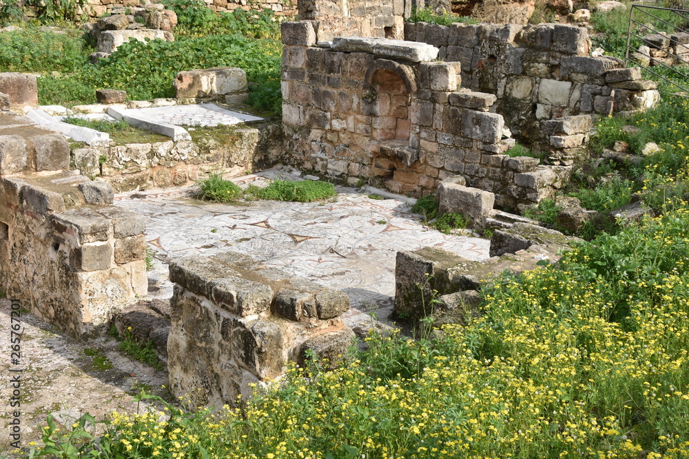 Ancient Tile Mosaic Floor, Tyre Archaeological Site, Lebanon