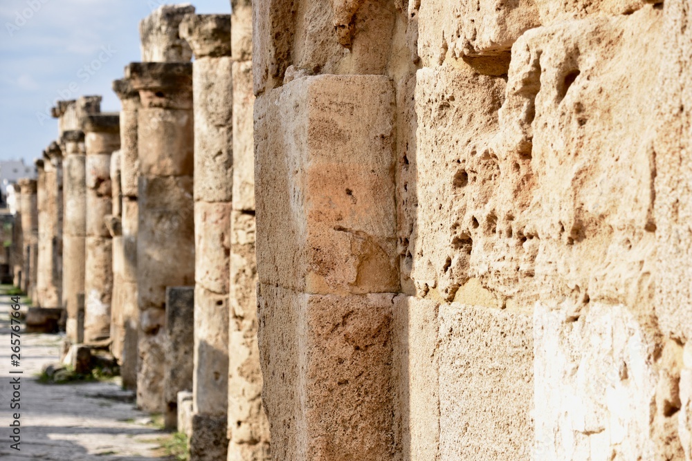 Ancient Colonnade Ruins 9, Tyre Archaeological Site, Lebanon