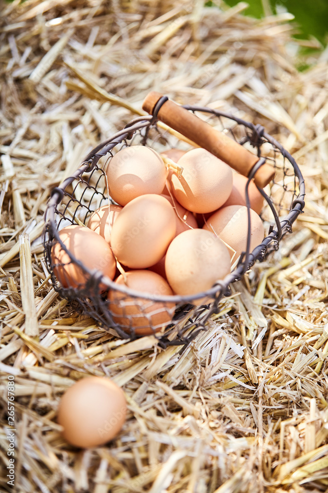 Small wire basket filled with fresh brown eggs Small wire basket filled with fresh brown eggs
