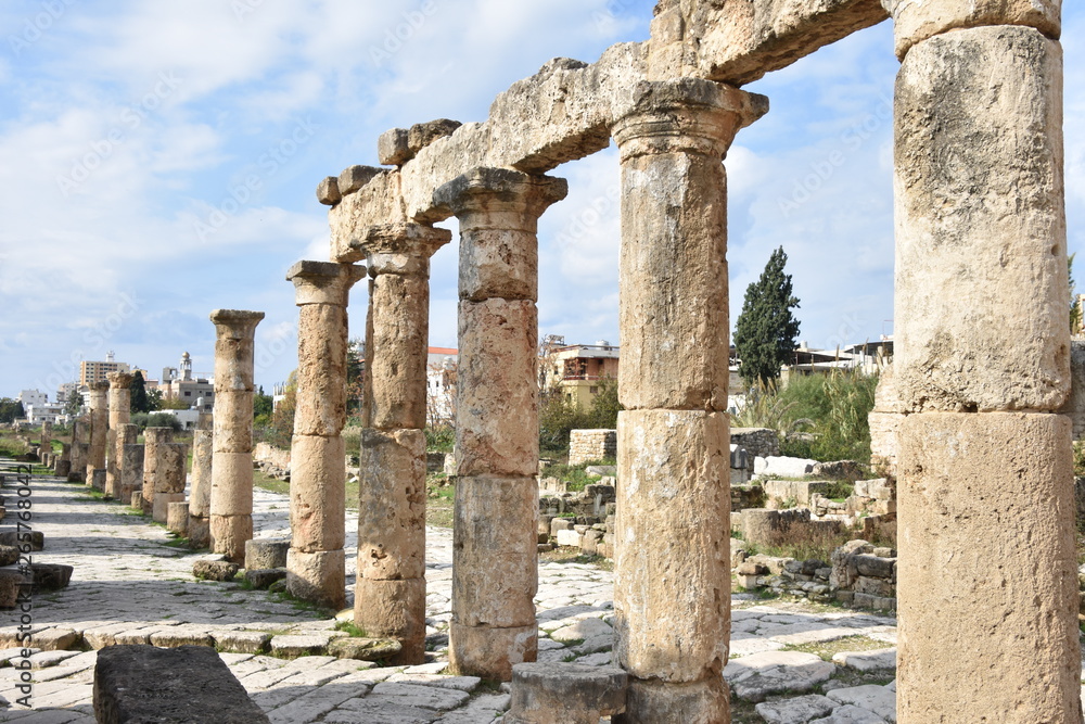 Ancient Colonnade Ruins 7, Tyre Archaeological Site, Lebanon