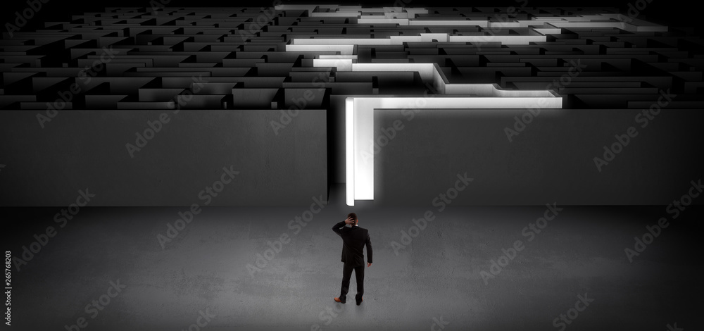 Businessman getting ready to enter the dark labyrinth with stated road concept
Businessman getting ready to enter the dark labyrinth with stated road concept