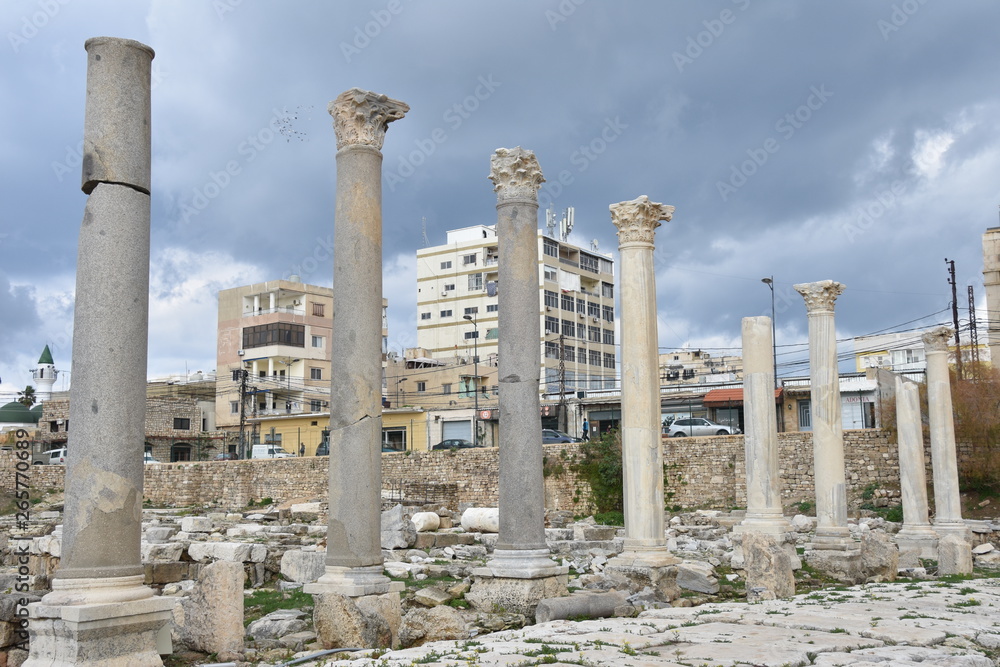 Ancient Colonnade Ruins 5, Tyre Archaeological Site, Lebanon
