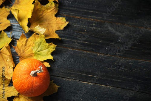 Autumn background with leaves and pumpkin. Background for thanksgiving with copyspace