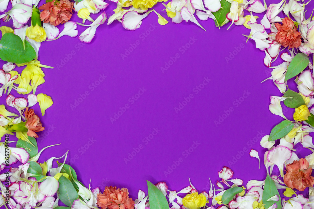 Frame from the colorful petals and blossoms on violet background. Flat lay. Top view