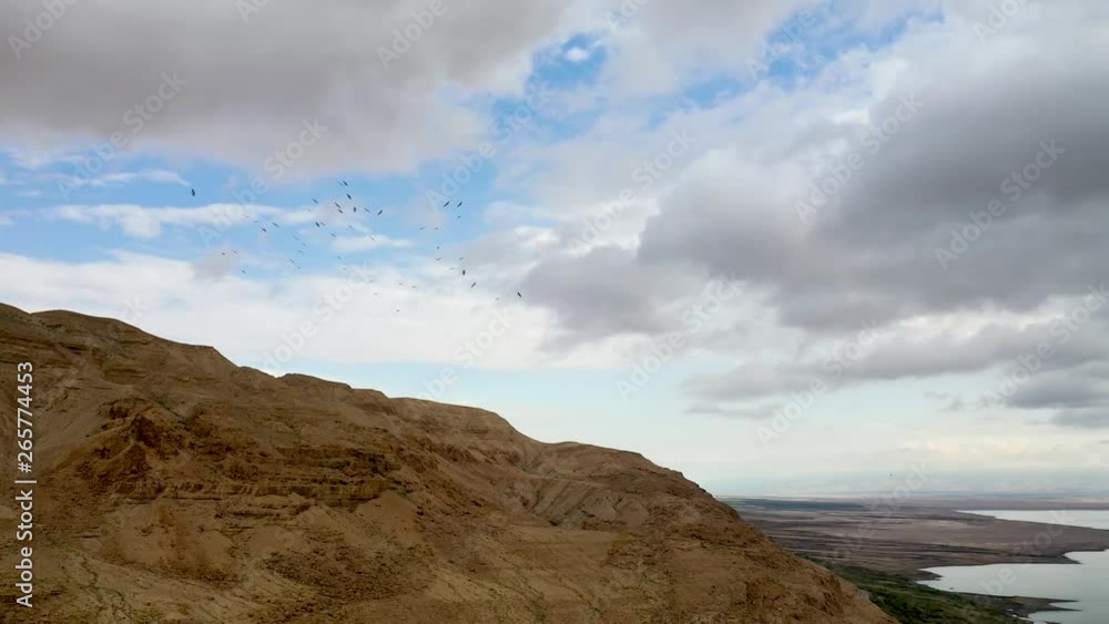 Flock of birds fly in rounds over desert mountains, Deadsea in the background, cloudy sky Flock of birds fly in rounds over desert mountains, Deadsea in the background, cloudy sky