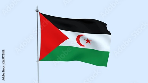 Flag of the country    West Bank  flutters against the blue sky. 3D rendering