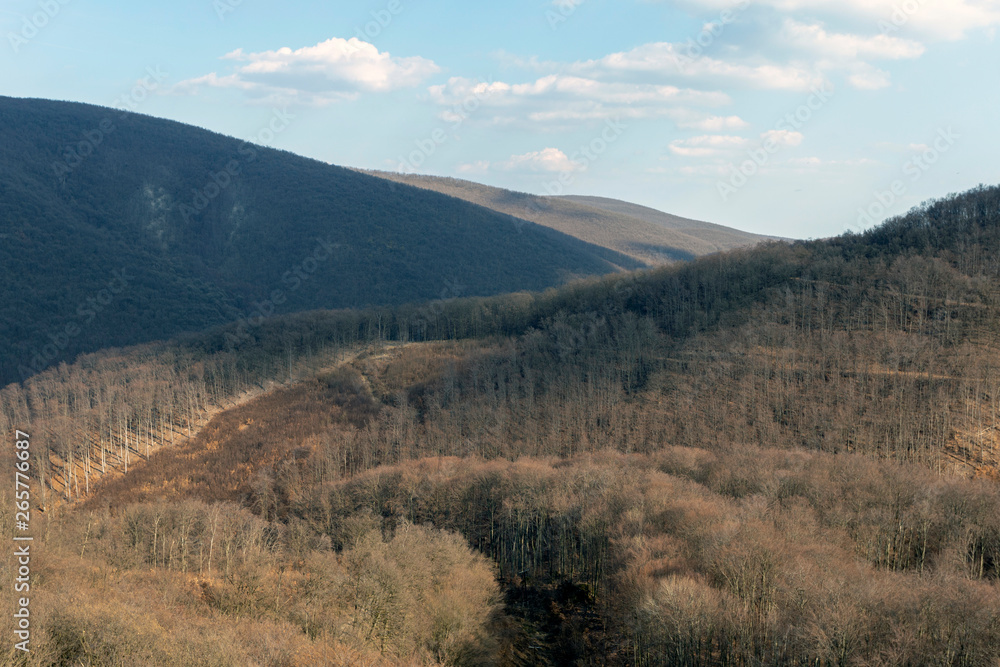 Ferenczy cliff in the Pilis mountains