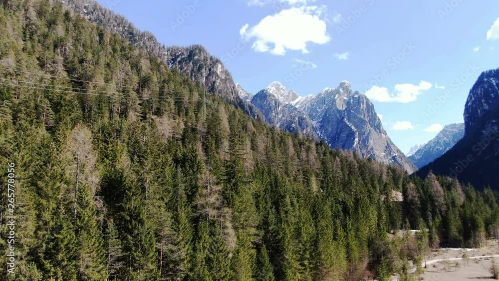 Aerial photograph of forest on mountainside against the backdrop of snow-capped mountains in distance. Bird's-eye forest and mountains. Coniferous forest of their fir trees in the mountains. Aerial photograph of forest on mountainside against the backdrop of snow-capped mountains in distance. Bird's-eye forest and mountains. Coniferous forest of their fir trees in the mountains.
