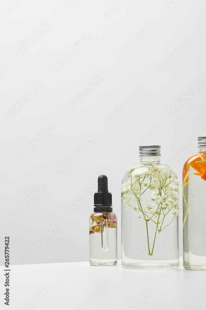 different organic beauty products in bottles with herbs and flowers on grey background different organic beauty products in bottles with herbs and flowers on grey background