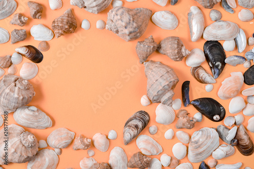 Creative flat lay concept of summer travel vacations. Top view of various kinds seashells on orange background. Copy space in minimal style, template for text