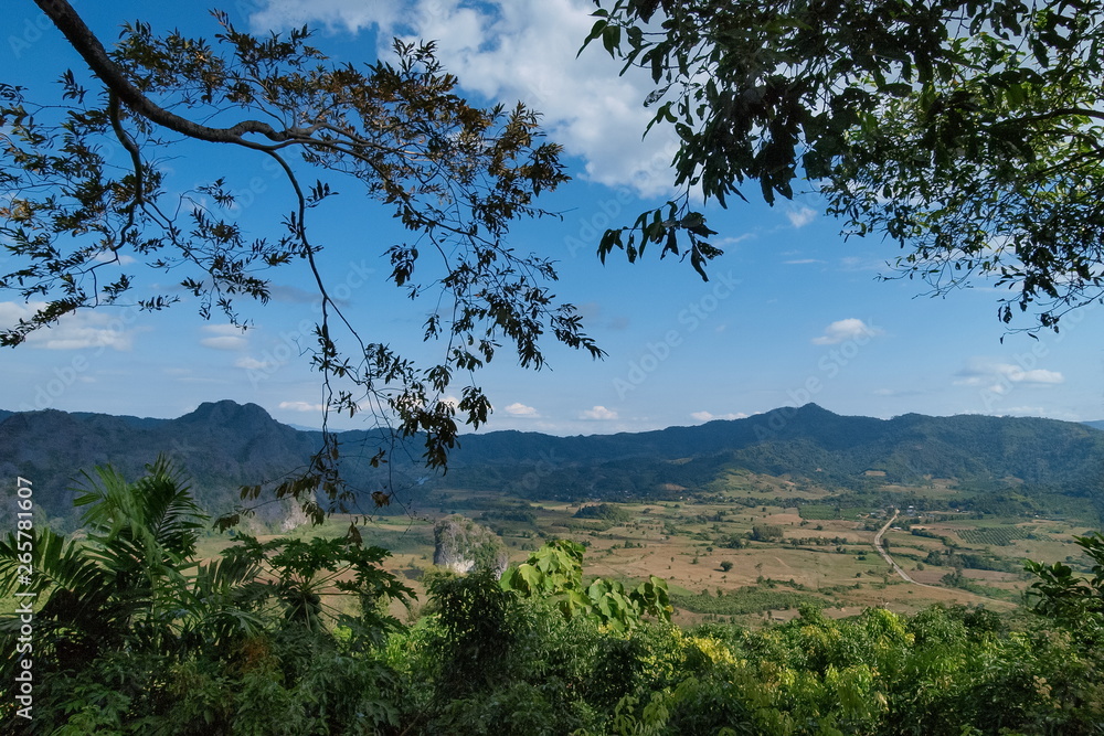 view under tree branches of long road route 1148 around with green field and mountain with blue sky background, Phu Langka View Point (photo corner), Phayao, Thailand. view under tree branches of long road route 1148 around with green field and mountain with blue sky background, Phu Langka View Point (photo corner), Phayao, Thailand.