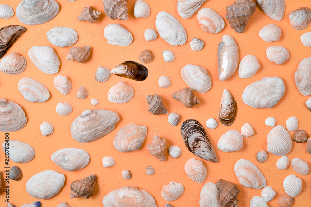 Creative various seashell pattern on pastel orange background. Summer vacation concept. Marine background Creative various seashell pattern on pastel orange background. Summer vacation concept. Marine background