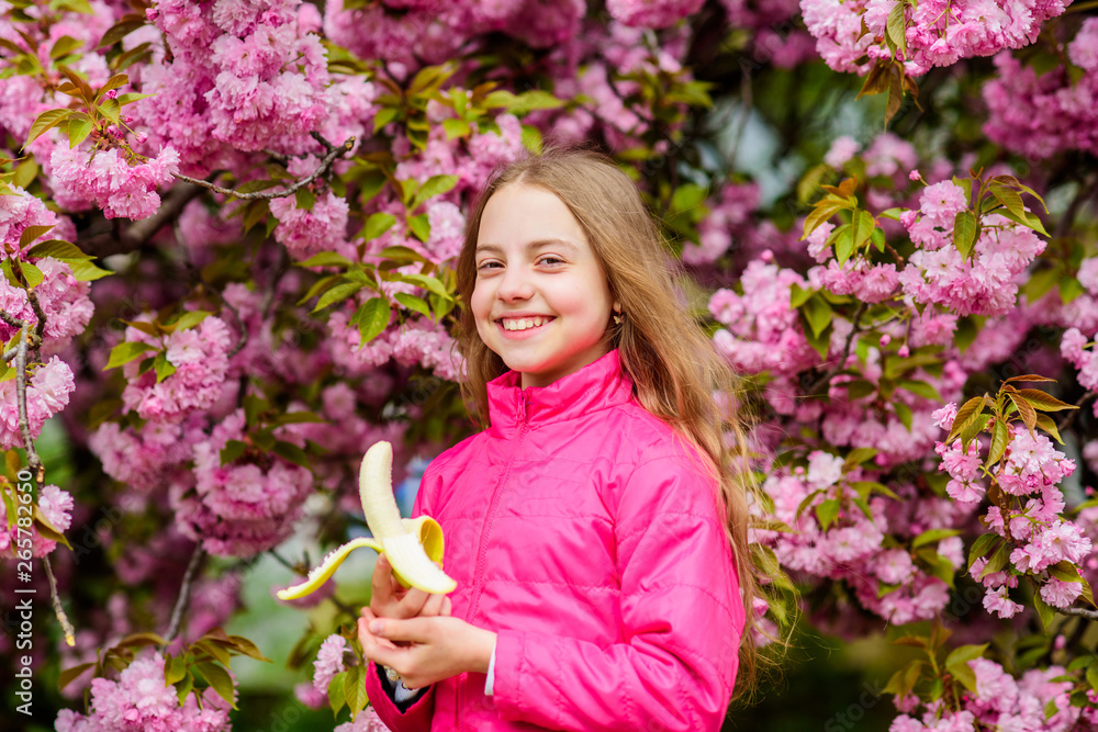 Fototapeta premium Little girl eat banana. Kid on pink flowers of sakura tree background. Kid enjoying cherry blossom sakura. Happy spring vacation. Spring in botany garden. That is how spring smells. Tender bloom