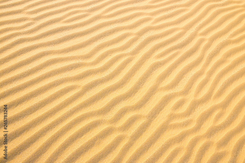 Texture of sand dunes Texture of sand dunes