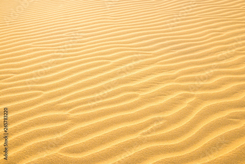 Texture of sand dunes