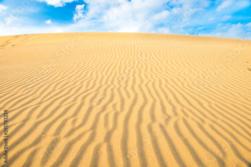Landscape of desert dunes and blue sky