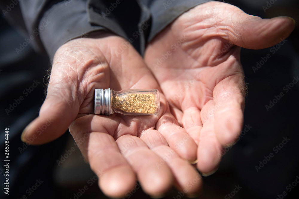 Hands and Gold found by Panning in the River Hands and Gold found by Panning in the River