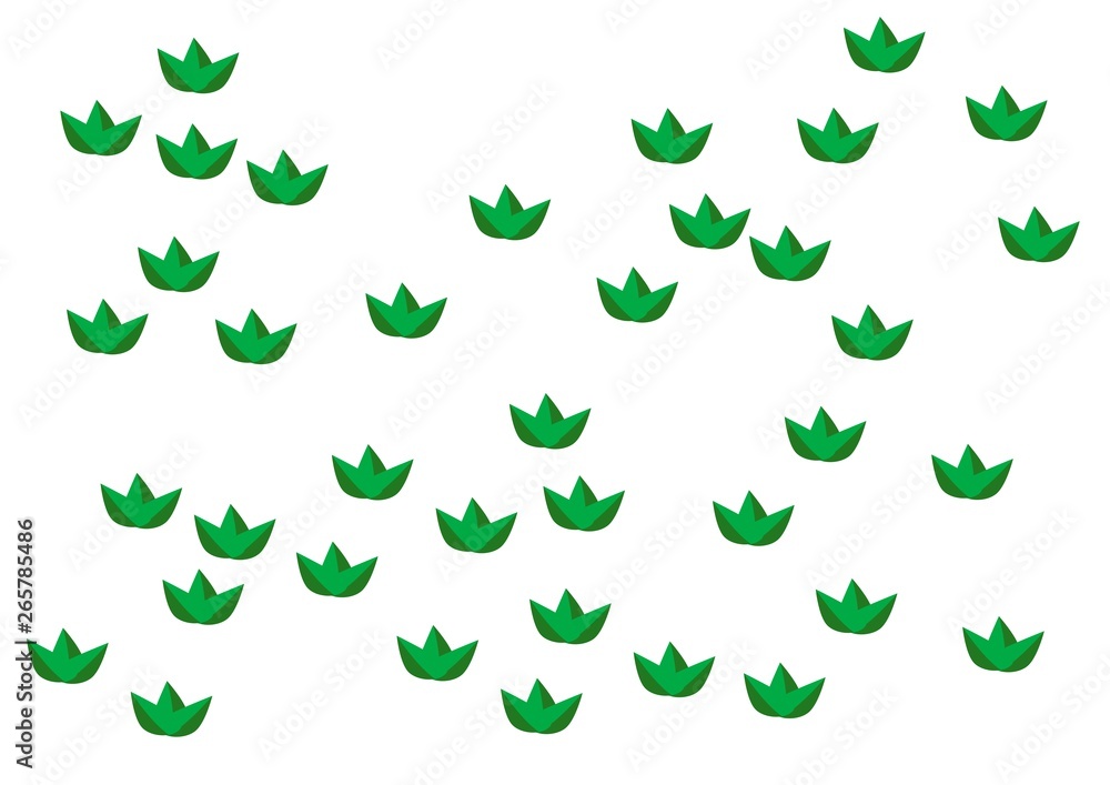 Fototapeta premium green leaf isolated on white background