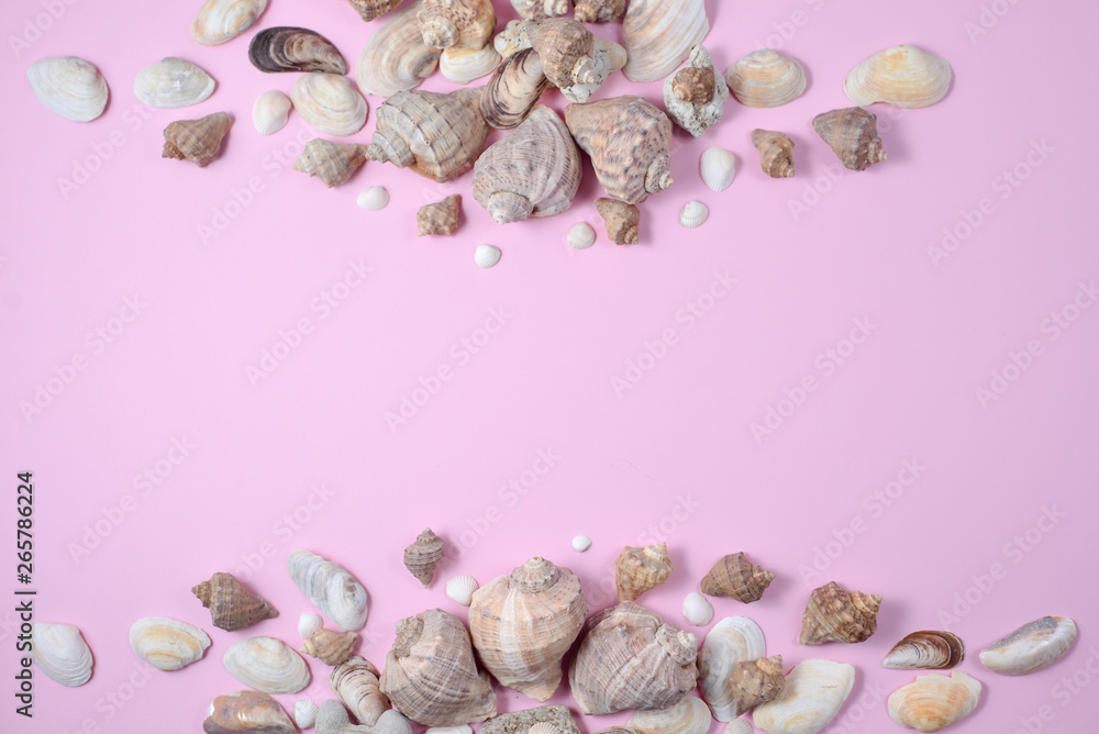 Creative flat lay concept of summer travel vacations. Top view of various kinds seashells on pink background. Copy space in minimal style, template for text Creative flat lay concept of summer travel vacations. Top view of various kinds seashells on pink background. Copy space in minimal style, template for text