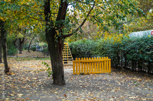Autumn park, fence, leaves, trees.
