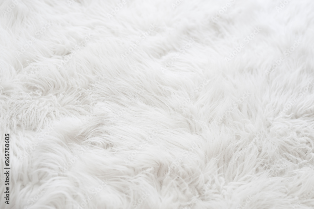 White fur background White fur background