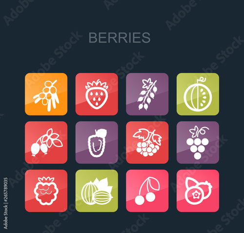 Fresh Berries icons set