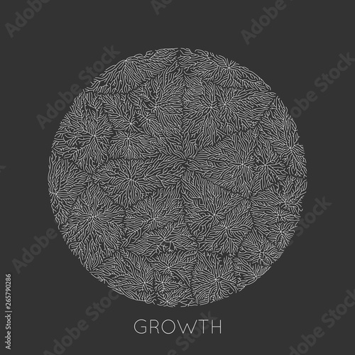 Vector generative branch growth pattern. Round texture. Lichen like organic structure with veins. Monocrome round biological net of vessels.