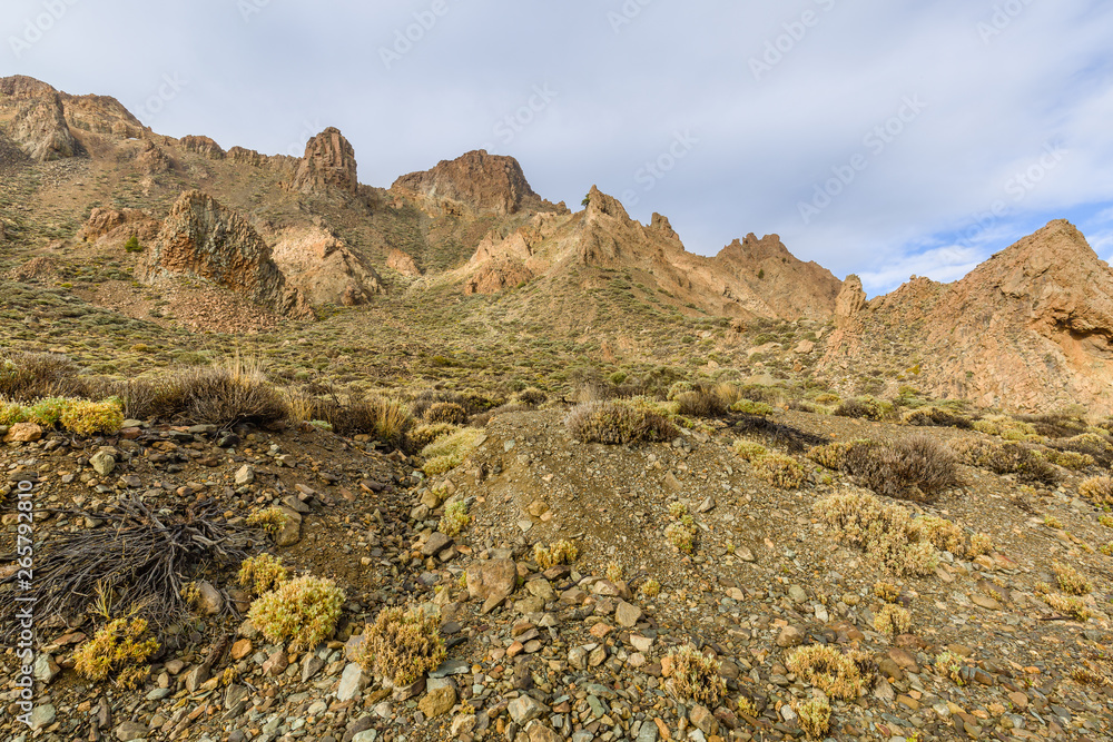 View of the landscape in Teide National Park View of the landscape in Teide National Park