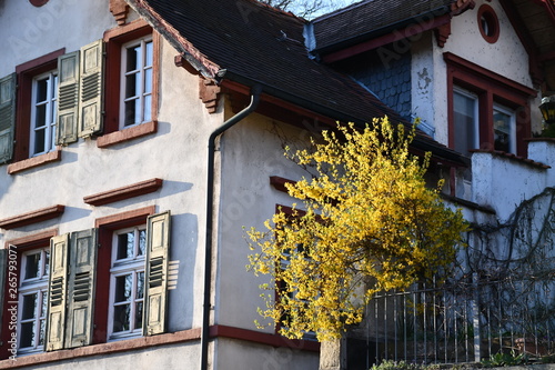 romantische Villa in Heidelberg mit schöner Architektur photo