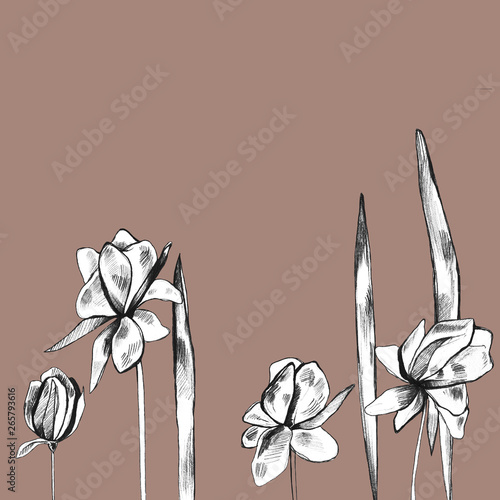  seamless floral pattern, pink background