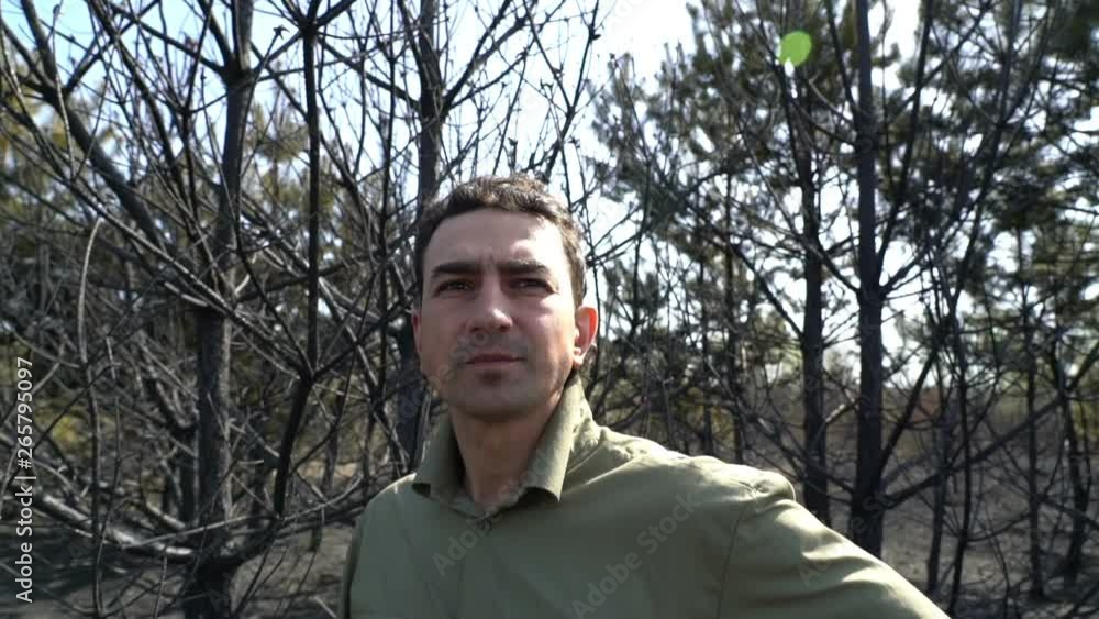 Man in despair standing in burned forest af wildfire, ecological catastrophe disaster Man in despair standing in burned forest af wildfire, ecological catastrophe disaster