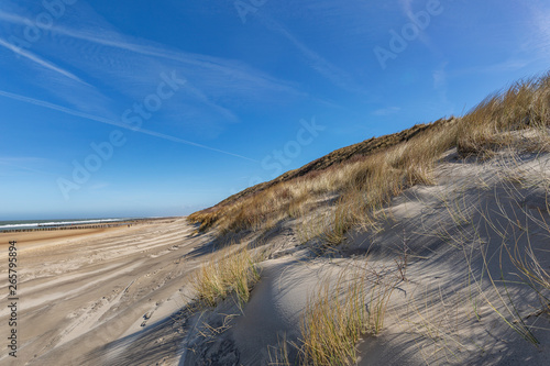 Cold Wind at Domburg Beach / Netherlands