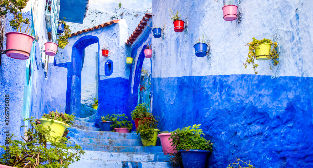 Beautiful blue walls with bright doors and colorful flower pots on the walls on a sunny day, Chefchaouen city medina in Morocco. Panorama