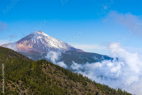 Beautiful view of unique famous volcano Teide on a sunny day  Teide National Park  Tenerife  Canary Islands  Spain