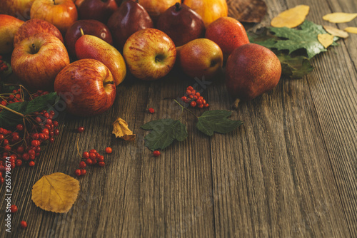 Autumn background with seasonal autumn nature berries, apples and colorful leaves on the wooden background. Autumn concept.